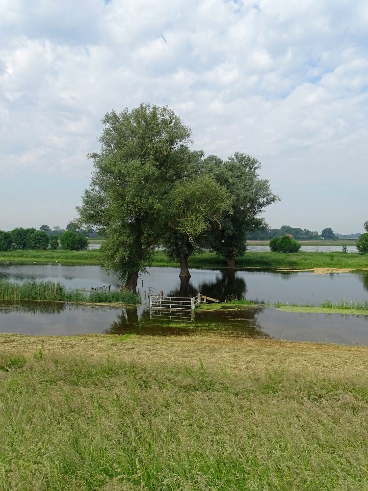 IJssel tussen Zalk en Kampen